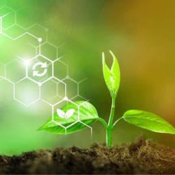 GREEN CHEMISTRY